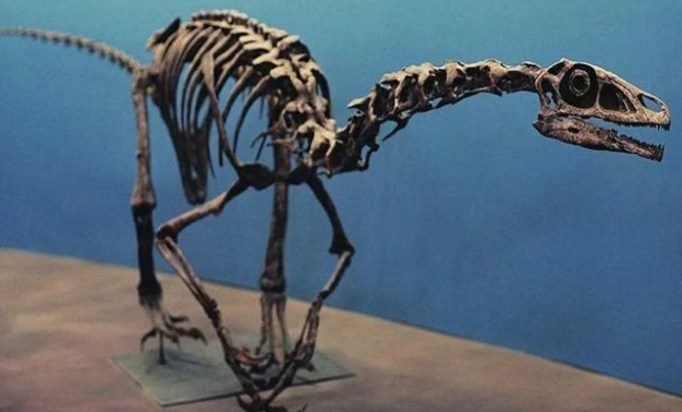 意大利冬奥会赛场边惊现两万个脚印!2万个恐龙足迹距今约2.1亿年