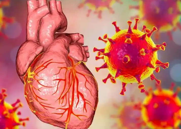 我国流感活动下降还需注意心肌炎，如何避免感冒诱发心肌炎？