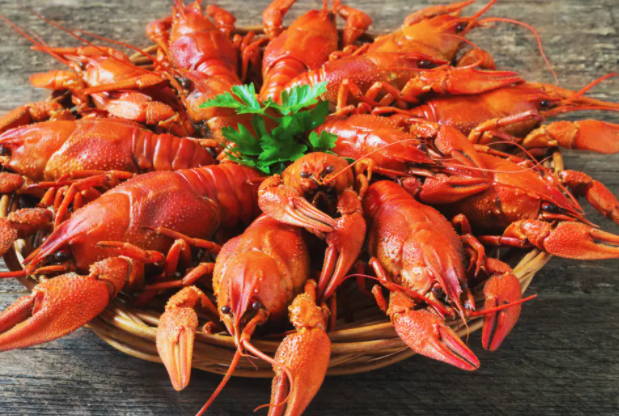 英国将禁止将活龙虾直接投入沸水烹煮，想吃得先电晕