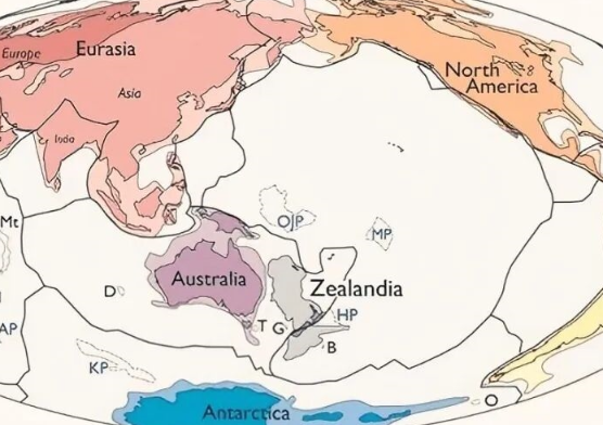 科学家确认“第八大陆”泽兰蒂亚存在 泽兰蒂亚大陆面积约有490万平方公里