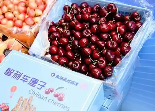 超50万吨车厘子涌入中国！超50吨车厘子到港“车厘子自由”真的来了！