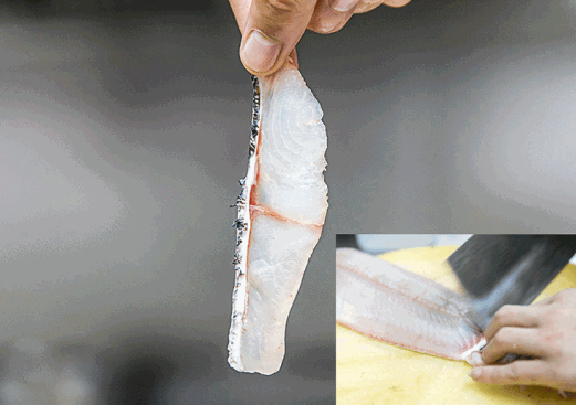 中国科研实现食用鱼无刺化突破！基因编辑成功剔除鲫鱼肌间小刺