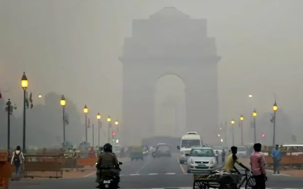 印度PM2.5浓度超安全值15至20倍，印度空气污染大量动物呼吸困难