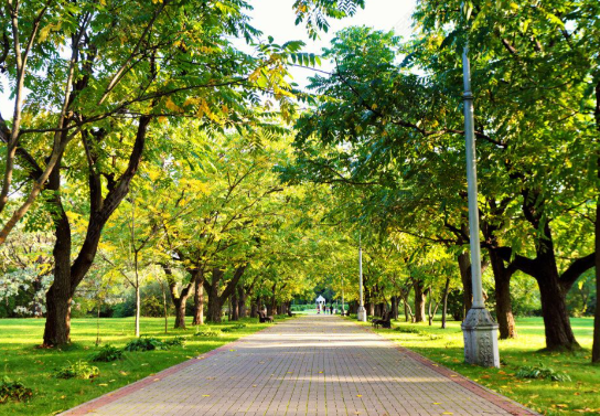 26日起全国各地气温将开始触底反弹 12月月底前全国大部雨雪稀少