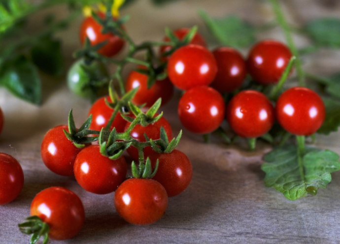 孕吐时吃千禧果能止吐吗(孕妇吐了还能吃千禧果补血吗)