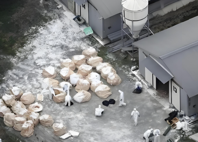 日本又确认一起高致病性禽流感疫情！北海道确认的第三起禽流感疫情