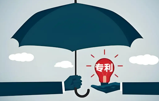 我国知识产权保护绩效位列全球第一 《2024年全球知识产权保护指数报告》发布 我国知识产权保护绩效位列全球第一 《2024年全球知识产权保护指数报告》发布