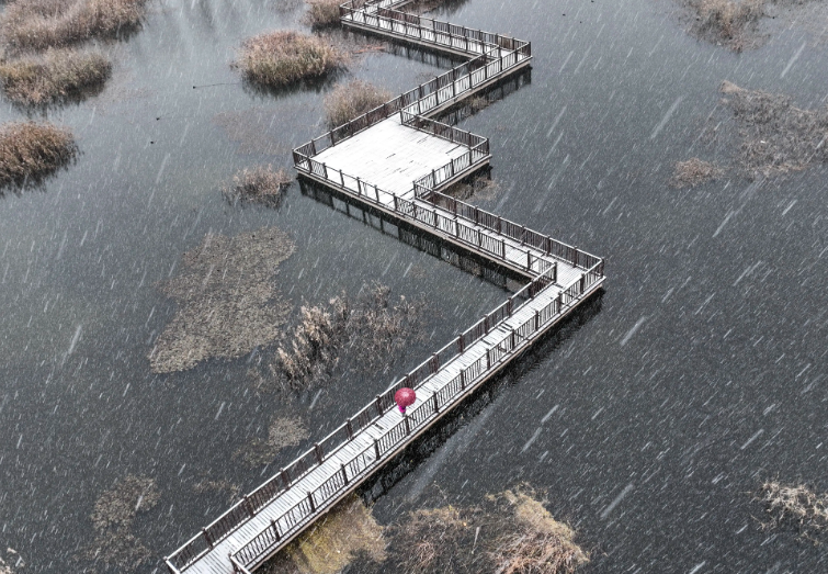 2026雨雪进程图看雪花何时至,南方什么时候降雪? 2026雨雪进程图看雪花何时至,南方什么时候降雪?