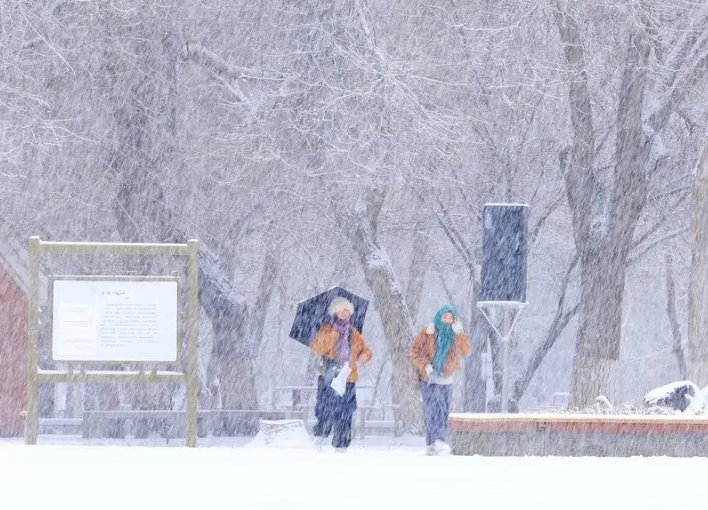 2026跨年大范围雨雪来袭!局地大雪大雨降温达20℃!