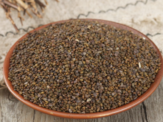 沙苑子的功效与作用有哪些 服用沙苑子之后生活要注意什么