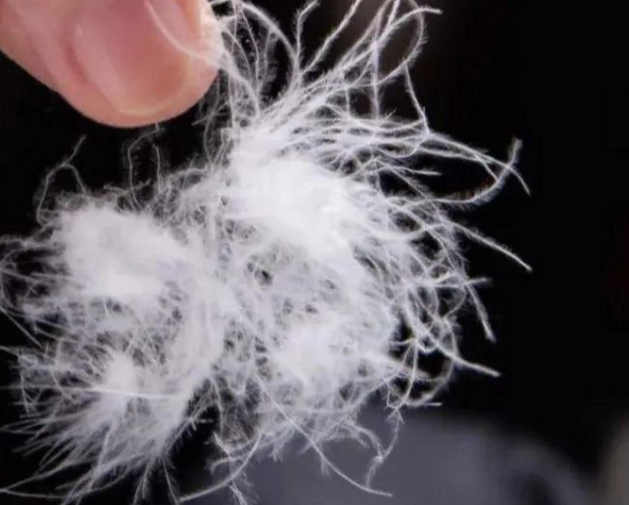 男子乘坐网约车时羽绒服突然“爆炸”！羽绒服为什么会突然“爆炸”？