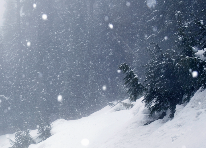 陕西河南安徽湖北重庆大雪，跨年冷空气携大范围雨雪来袭