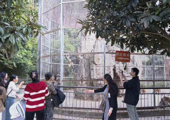 “史上最寒酸”动物园好起来了 凯里动物园迎来第一个旅行团