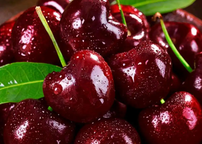 医生称车厘子果蝇的幼虫水洗不掉?车厘子应该怎么清洗才健康？