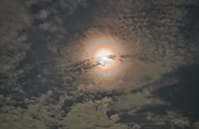 2026首个超级月亮来了，XXL月亮昨晚现身高清实拍大图