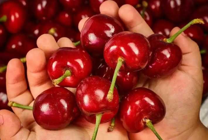 医生称车厘子果蝇的幼虫水洗不掉?车厘子应该怎么清洗才健康？