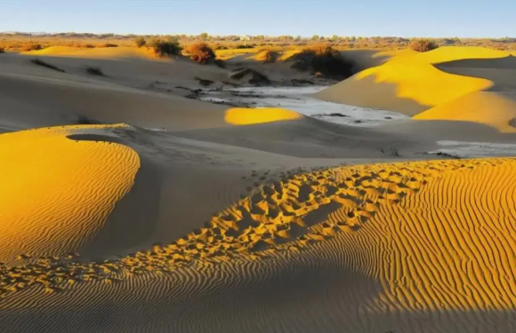 2025年成史上最暖年 2025年全国平均气温达11.0℃ 2025年成史上最暖年 2025年全国平均气温达11.0℃