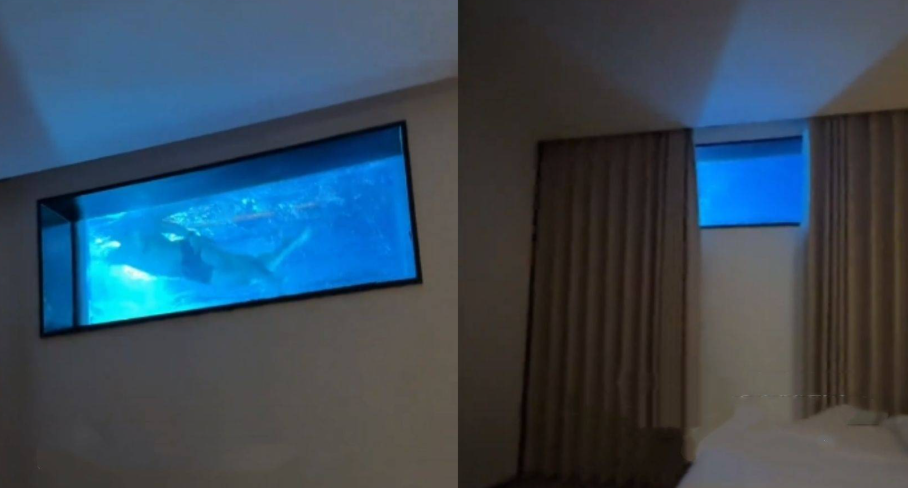 女子酒店房间拉开窗帘是泳池水底 泳池底下藏房间的酒店设计有什么安全隐忧？