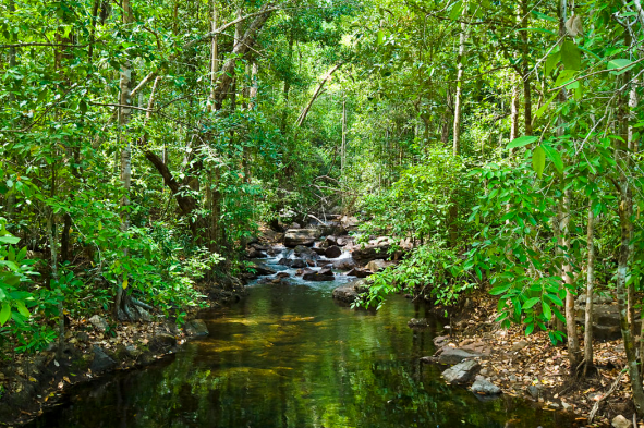 2025年成史上最暖年 2025年全国平均气温达11.0℃ 2025年成史上最暖年 2025年全国平均气温达11.0℃