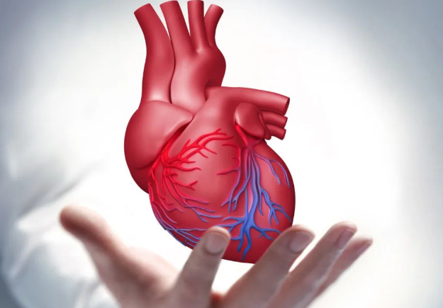 过年打游戏到凌晨3点突发心梗,2026春节这些坏习惯可能会导致心梗 过年打游戏到凌晨3点突发心梗,2026春节这些坏习惯可能会导致心梗