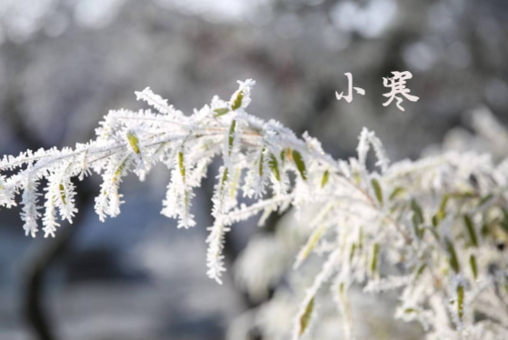 中国气象局:一年当中最寒冷时段到来 今日小寒全国平均气温降至-5.1℃