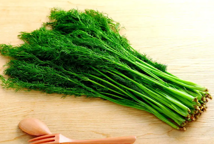 小寒女性吃茴香可以防手脚冰凉吗(2026茴香可以驱寒养阳吗)