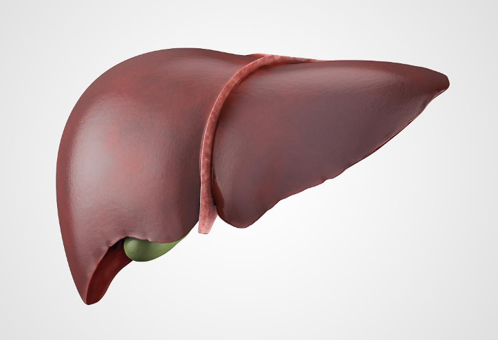 2026过年如何预防出现脂肪肝?春节对肝脏好的饮食推荐