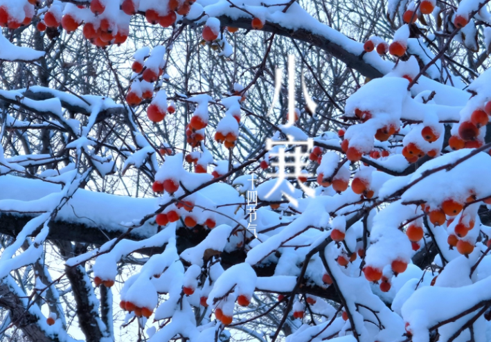 小寒时节天气冷记得加衣保暖，小寒是一年中最冷的时候到了