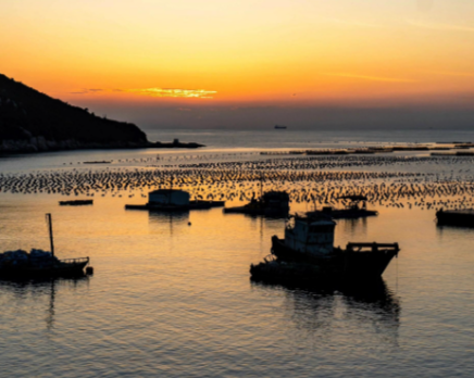 3.7万就可以在浙江当岛主？浙江两座无居民海岛挂牌出让3.7万元起拍