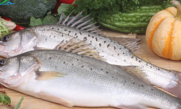 鳕鱼片疑含寄生虫?鳕鱼里面有寄生虫还能吃吗? 鳕鱼片疑含寄生虫?鳕鱼里面有寄生虫还能吃吗?