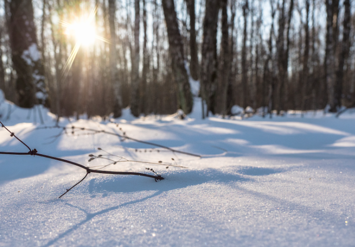 玩雪太久眼睛会受伤吗?2026滑雪专家教你如何应对雪盲症