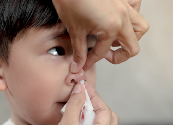 冬季过敏性鼻炎怎么办?2026年室内过敏原控制法 冬季过敏性鼻炎怎么办?2026年室内过敏原控制法