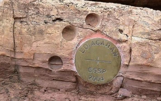 “金钉子”研究取得新进展 我国正式提交石炭系格舍尔阶的“金钉子”提案