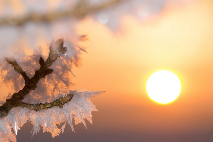 未来几天全国大部气温仍将波动回升，2026年1月为啥又干又暖？