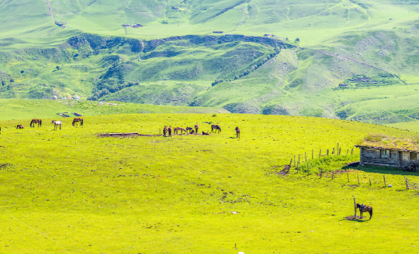 乌鲁木齐市天山山区草原适合什么季节去游玩 乌鲁木齐市天山山区草原有什么特色项目 乌鲁木齐市天山山区草原适合什么季节去游玩 乌鲁木齐市天山山区草原有什么特色项目