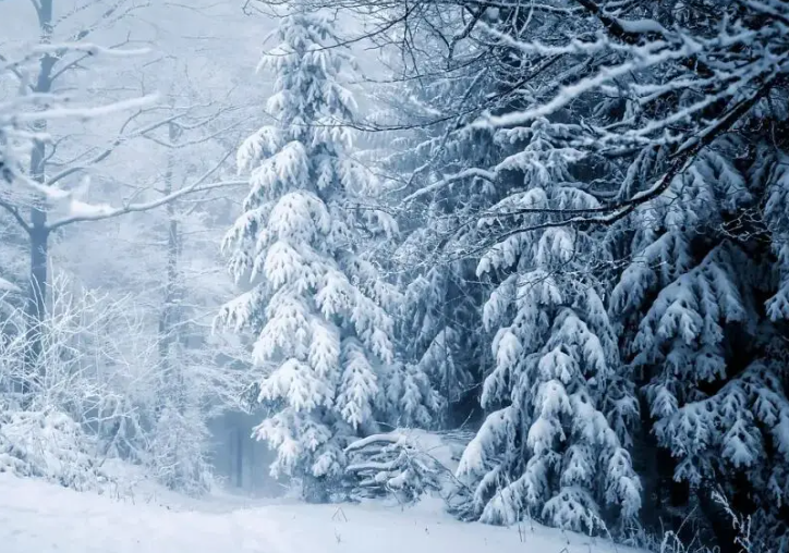 未来三天东北降雪明显增强局地或现暴雪，中东部多地气温震荡回升