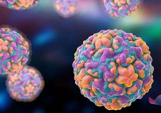 鼻病毒阳性率上升无特效药和疫苗！中疾控提醒警惕鼻病毒！