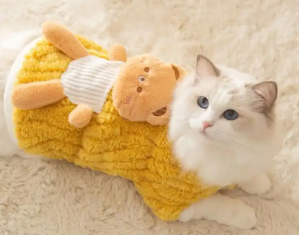 长沙宠物冬装热销!长沙宠物冬装搜索量同比大涨250% 长沙宠物冬装热销!长沙宠物冬装搜索量同比大涨250%