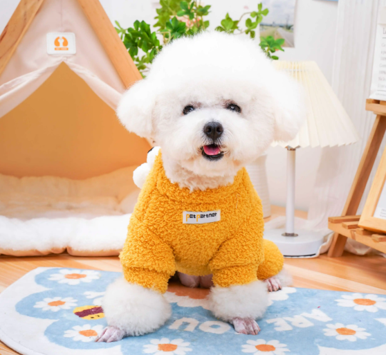 长沙宠物冬装热销!长沙宠物冬装搜索量同比大涨250% 长沙宠物冬装热销!长沙宠物冬装搜索量同比大涨250%