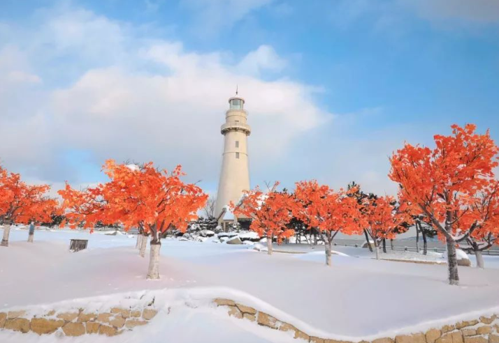 威海特大暴雪为何这么厉害?2026威海特大暴雪积雪超20厘米背后原因