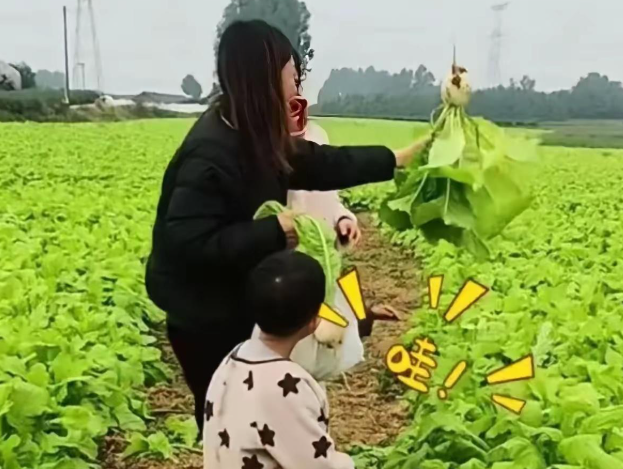 田间“保卫萝卜”出圈记“！保卫萝卜”爆火老板说人比虫都多