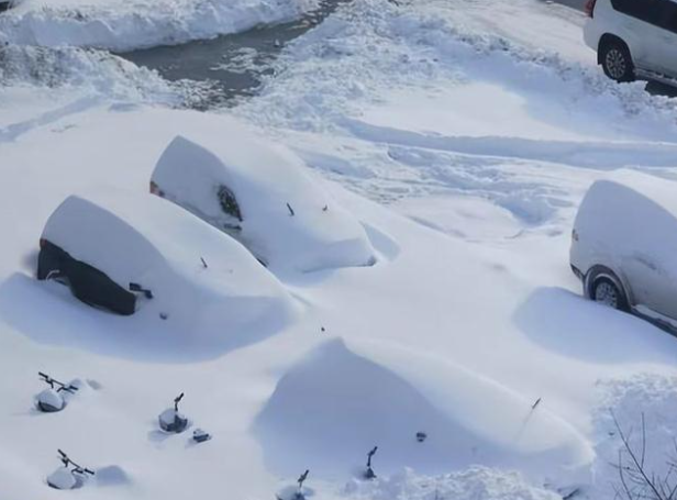 威海特大暴雪为何这么厉害?2026威海特大暴雪积雪超20厘米背后原因