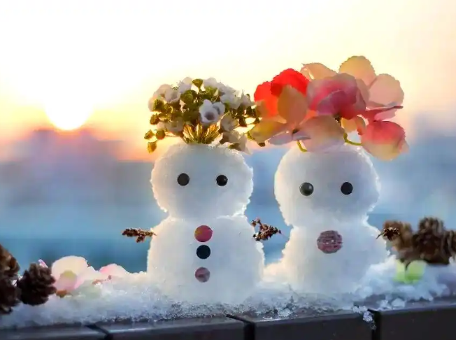 今年三九暖得不像冬天，2026年1月多地将直超20度为什么这么热？