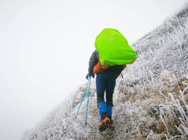 2026德国遭遇“黑冰”天气，雪后即冻“黑冰”隐患接踵而至