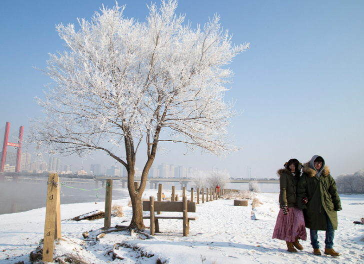 烟台威海雪下得像冒烟，2026冬季冷流雪是怎么形成的?