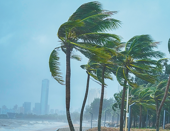 2026年首个台风要登场了吗！这份台风防御指南请收好