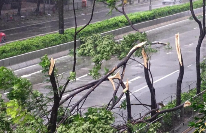 2026年首个台风要登场了吗！这份台风防御指南请收好