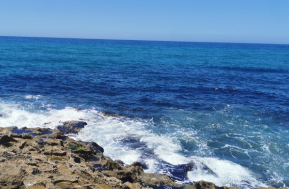 2026年首个台风要登场了吗 菲律宾以东热带扰动可能加强为今年第1号台风