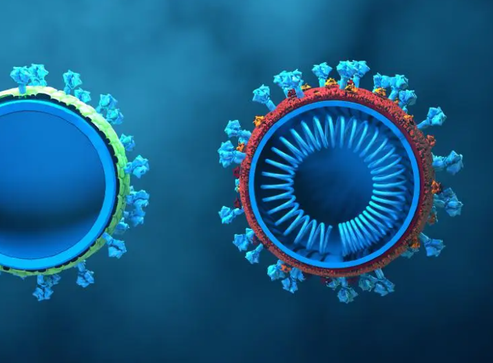 冬季发烧是感冒还是合胞病毒?2026发烧患者如何辨别自身病情? 冬季发烧是感冒还是合胞病毒?2026发烧患者如何辨别自身病情?