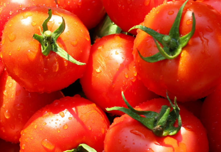 西红柿从3块到30块暴涨近10倍 西红柿价格为何走高？